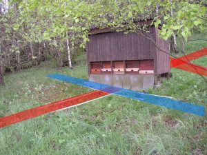 Tout ce qu’il faut pour la radiesthésie bienen bees wasserader water veins gitternetze grids