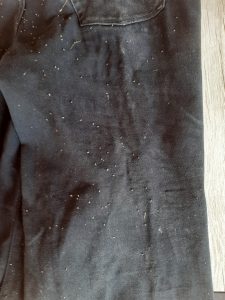 Backyard Beekeeping bee stingers on trousers