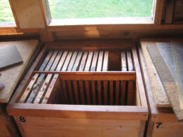 Backyard Beekeeping golz hive