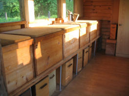 Backyard Beekeeping inside bee house