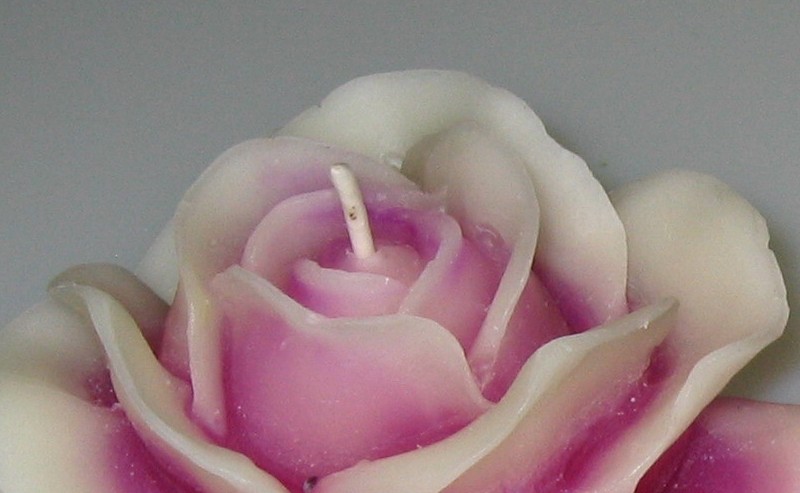 Beekeeping product blog kerzenidee bunte rosen 4